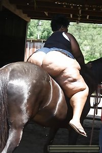 bbw BLACKS babes WITH MEGA asses